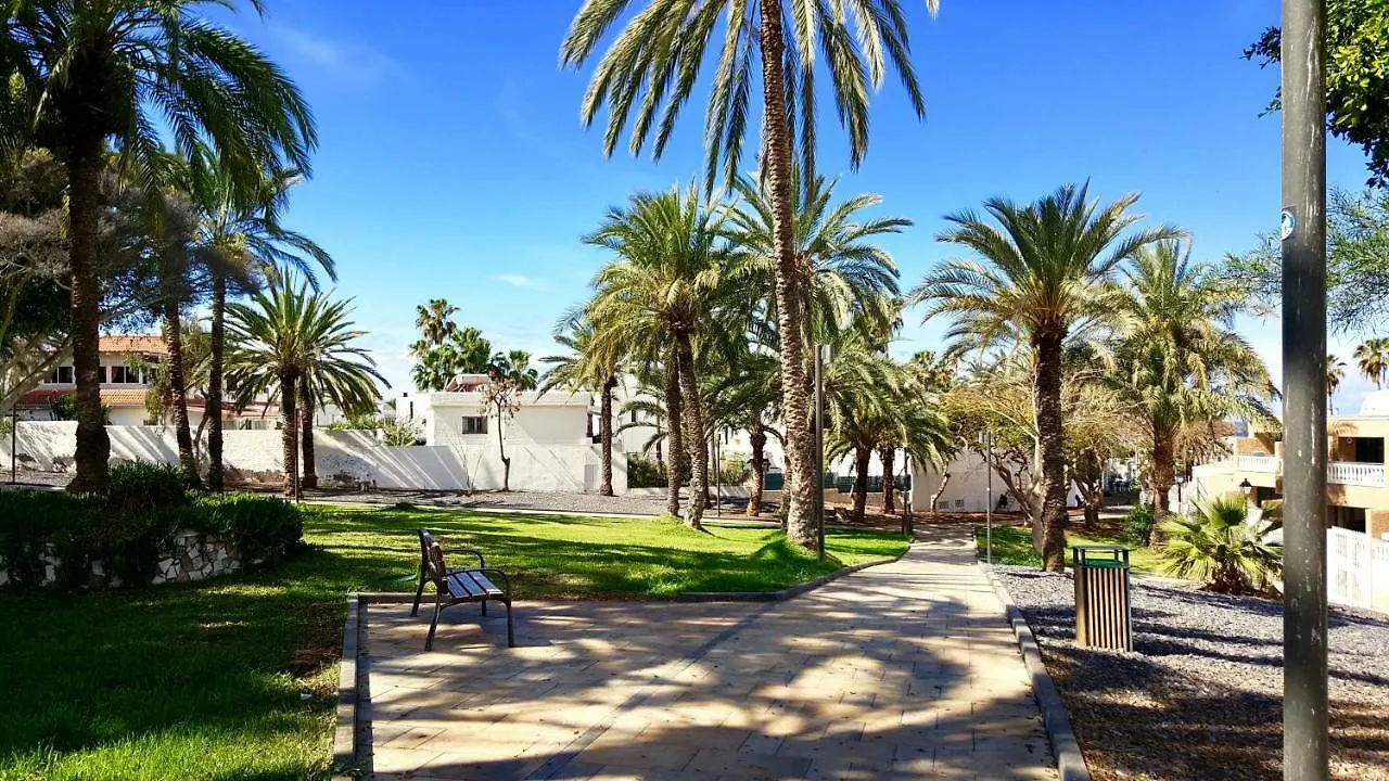 Studio In Perfect Location Playa de las Americas