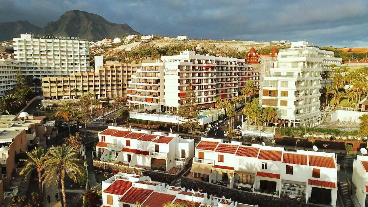 Studio In Perfect Location 플라야데라스아메리카스 스페인